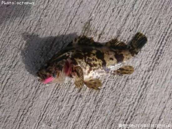 �����Υ���Х�