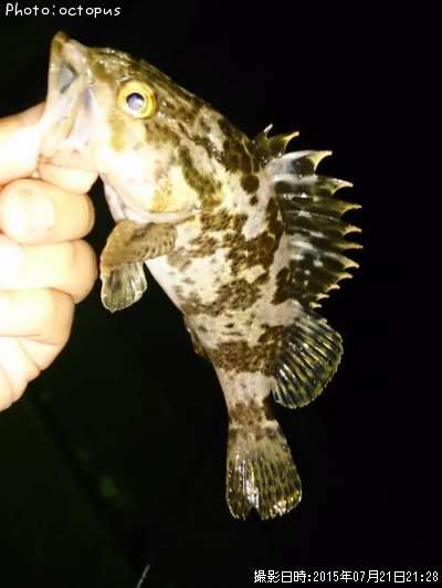 �����Υ���Х�