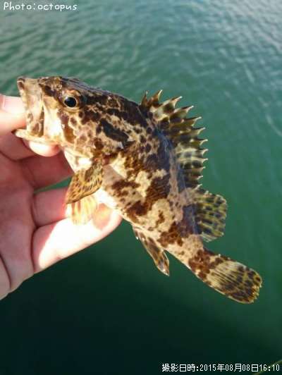 �����Υ���Х�