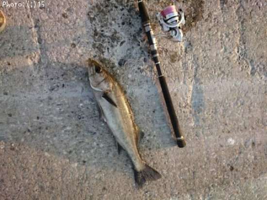 �����Х�