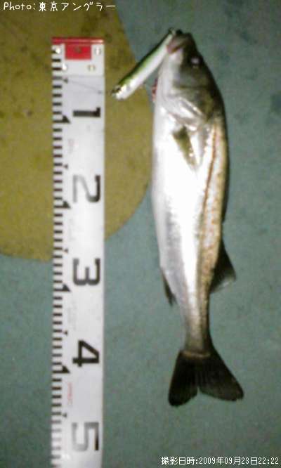 �����Х�