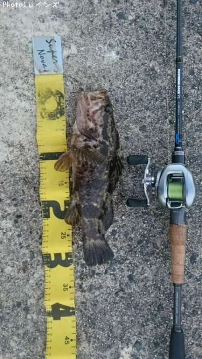 �����Υ���Х�