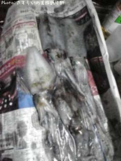 �����ꥤ��