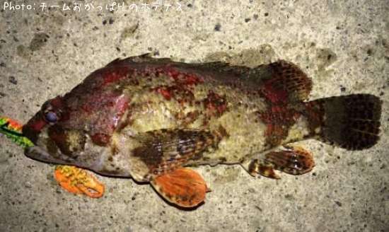 �������Х�