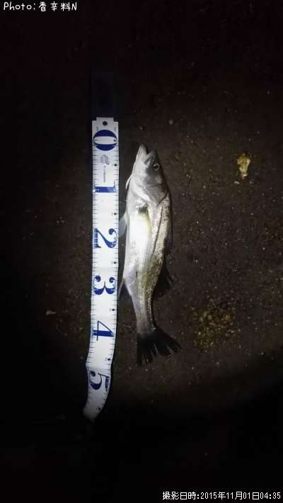 �����Х�