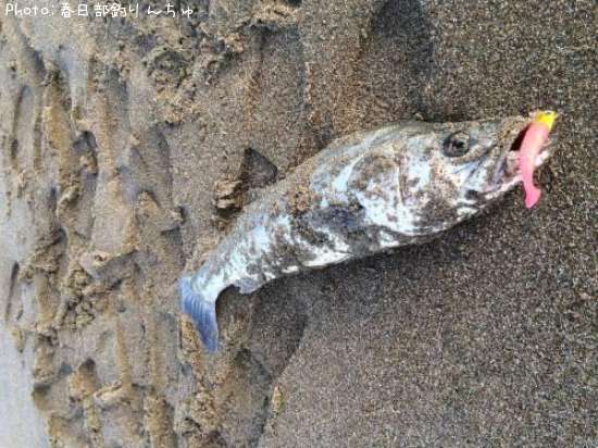 �����Х�