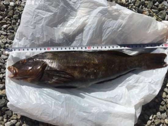 �����ʥ�