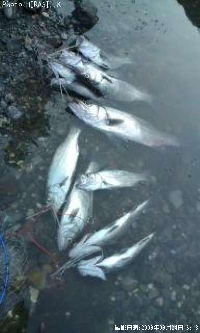 �ҥ饹����