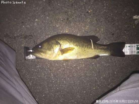 �֥�å��Х�