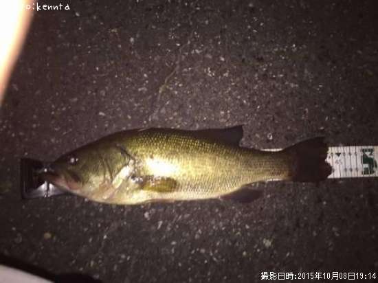 �֥�å��Х�