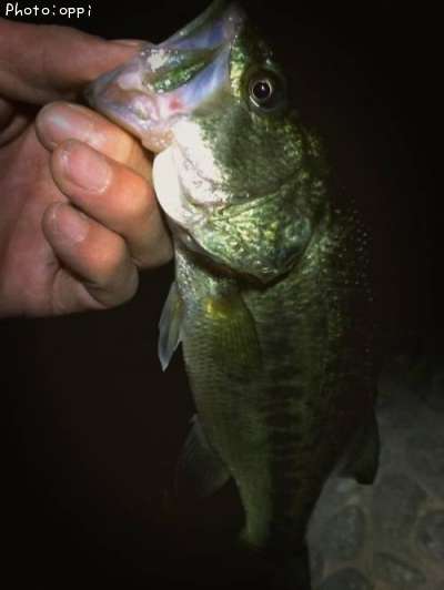 �֥�å��Х�