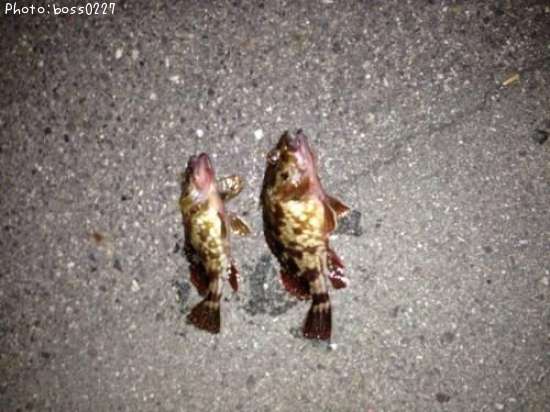 ���å���