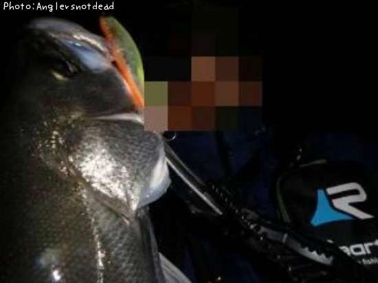 �����Х�