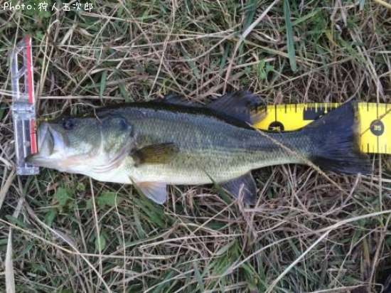 �֥�å��Х�