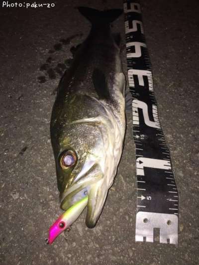 �����Х�