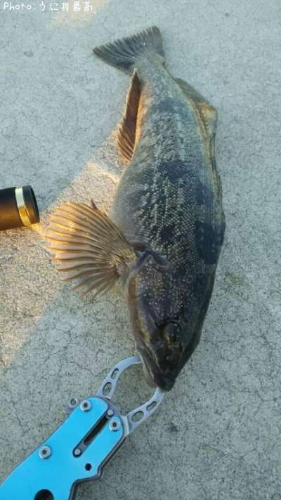 �����ʥ�