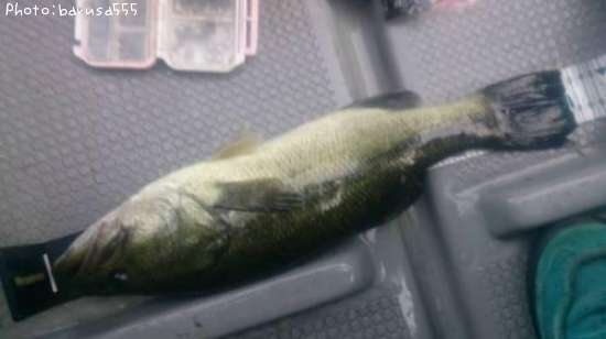 �֥�å��Х�