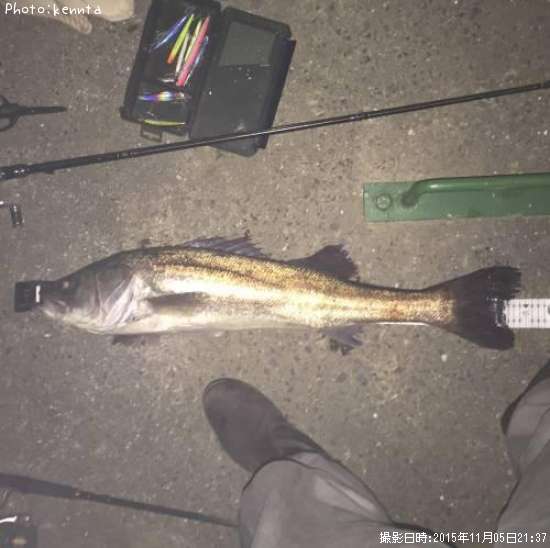 �����Х�