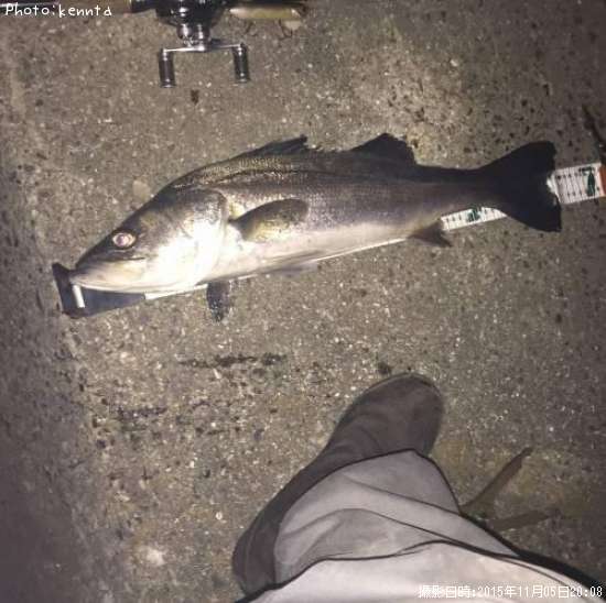 �����Х�