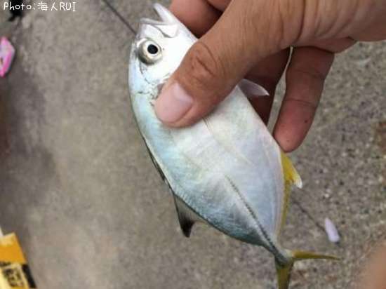 �������ǣԡ�