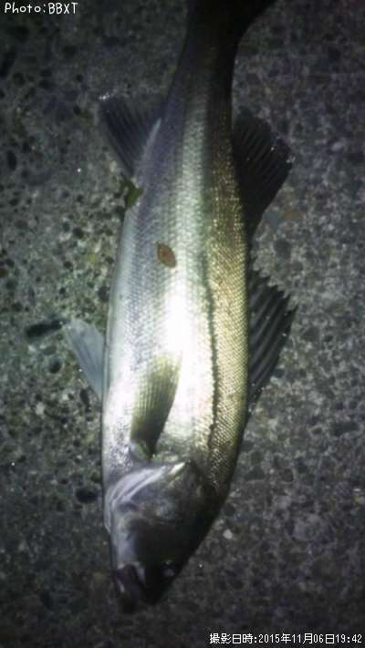 �����Х�