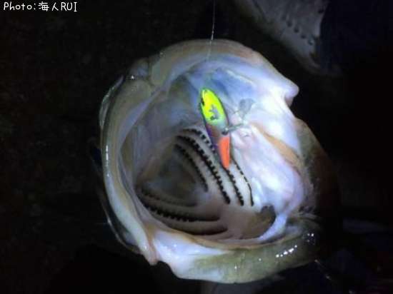 �����Х�