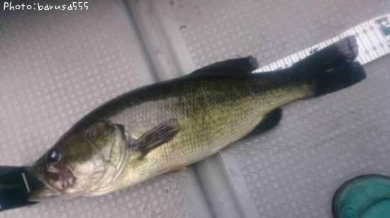 �֥�å��Х�