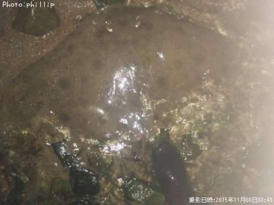 �ĥХ�������