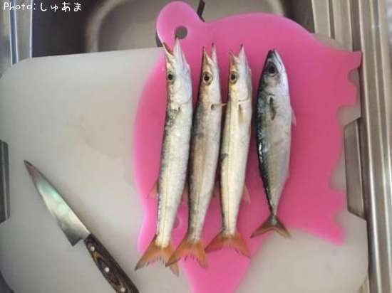 ���ޥ������ޥ���