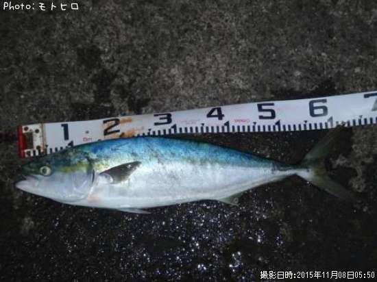 ��饵
