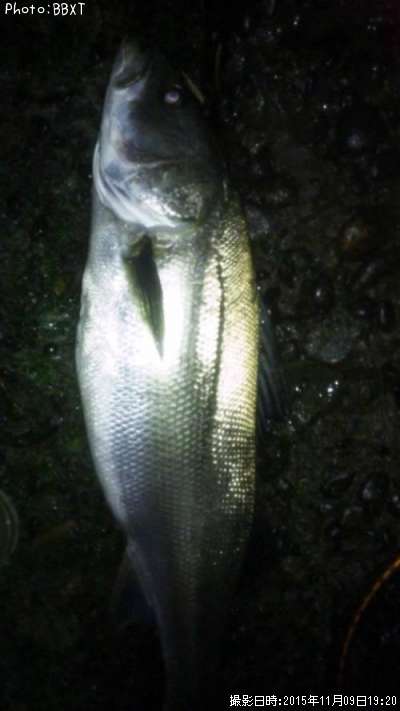 �����Х�