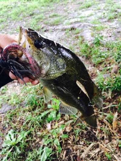 �֥�å��Х�