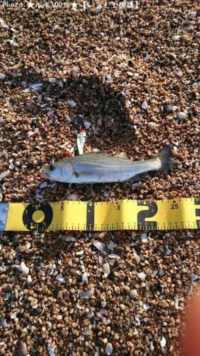 �����Х�