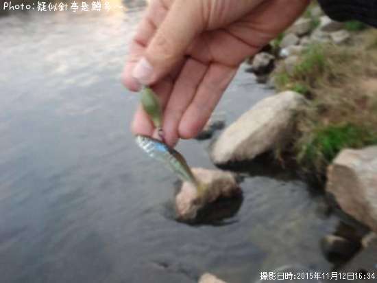 ���������