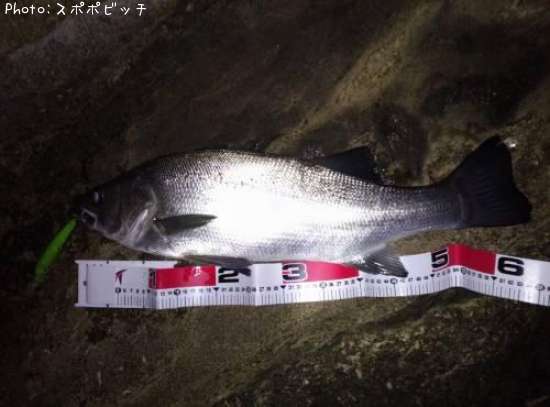 �ҥ饹����