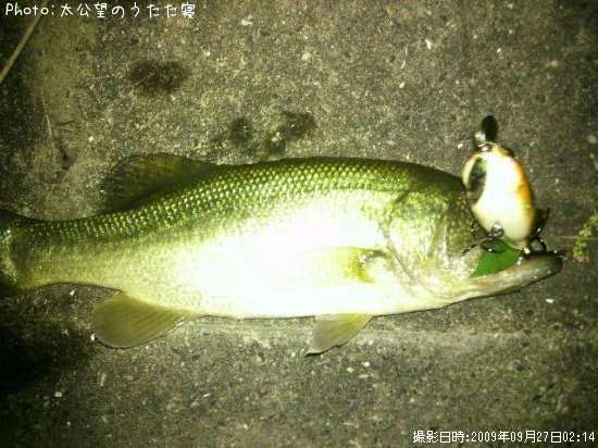 �֥�å��Х�