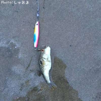 �����ե�