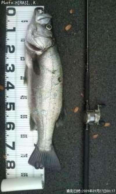 �ҥ饹����