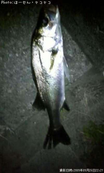 �����Х�