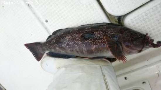 �����ʥ�