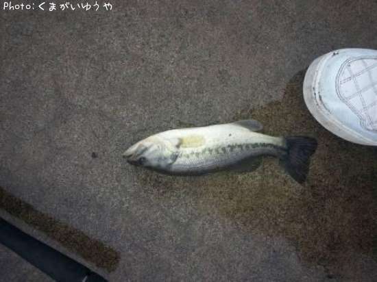 �顼���ޥ���