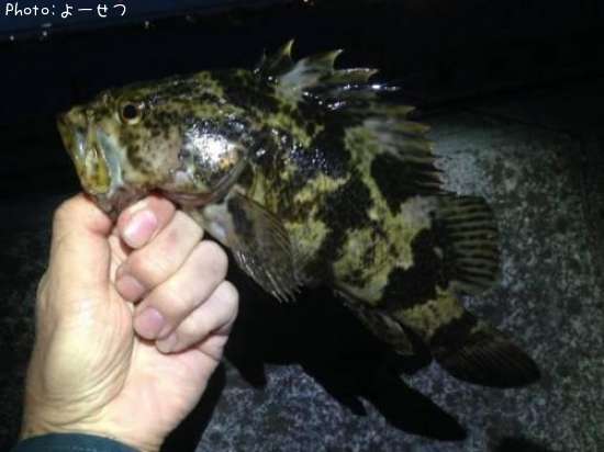 �����Υ���Х�