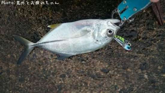 ��å�����