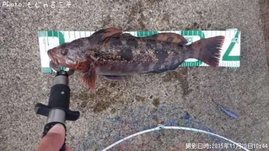 �����ʥ�