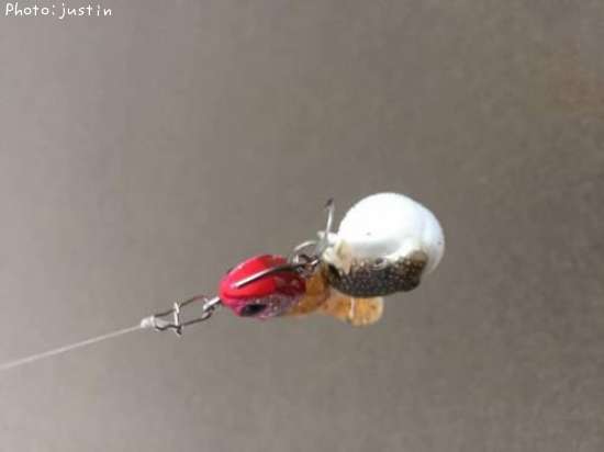 �����ա�