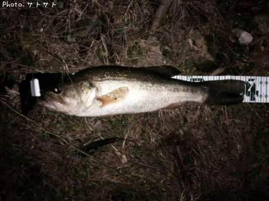 �֥�å��Х�