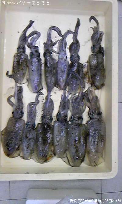 �����ꥤ��