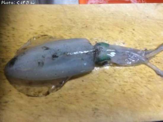 �����ꥤ��