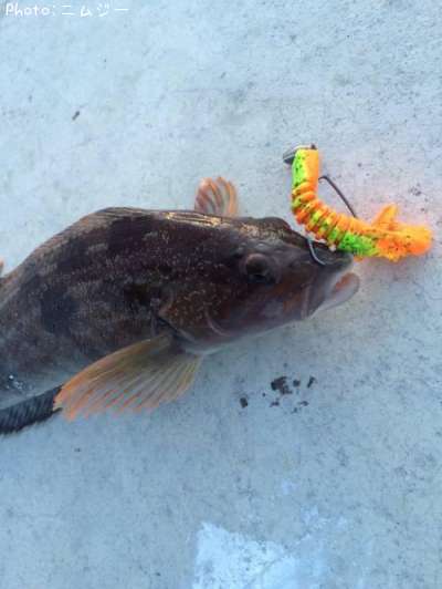 �����ʥ�