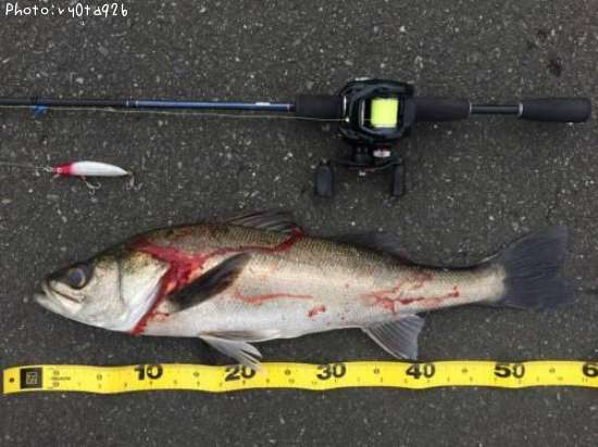 �����Х�